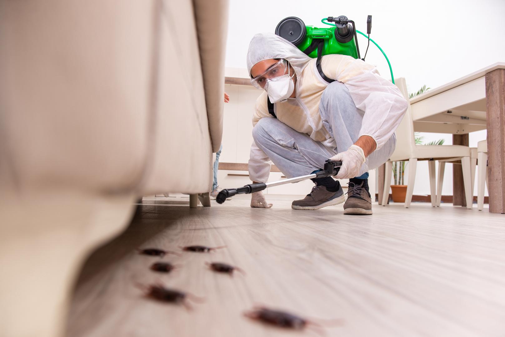 Pest Control York